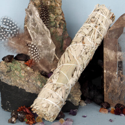 CLEARING Grandfather White Sage Large Smudge Stick – 20cm-25cm