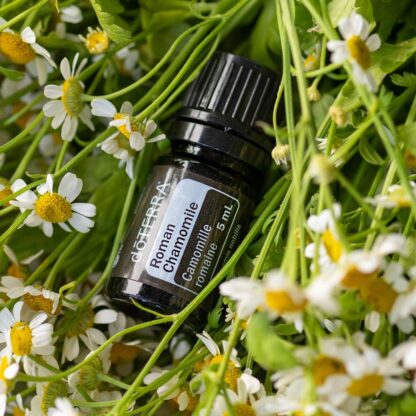 dōTERRA ROMAN CHAMOMILE Essential Oil 5mL - Image 3