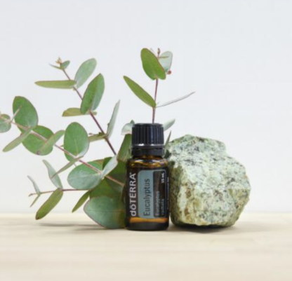 dōTERRA EUCALYPTUS Essential Oil 15mL - Image 2