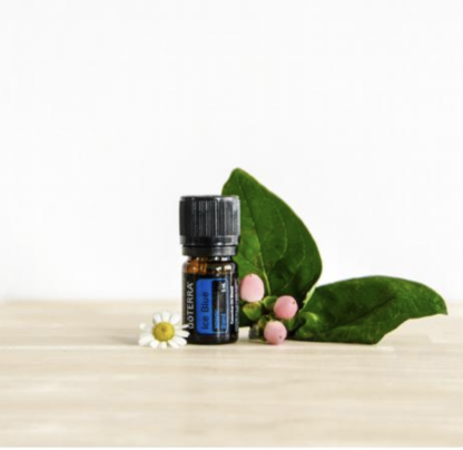 dōTERRA AromaTouch® Technique with FREE Certification Course - Image 8