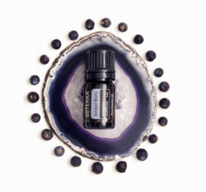 dōTERRA JUNIPER BERRY Essential Oil 5mL - Image 4