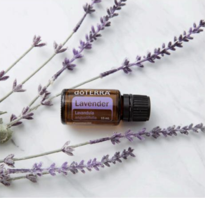 dōTERRA LAVENDER TOUCH 10mL Roll On - Image 6