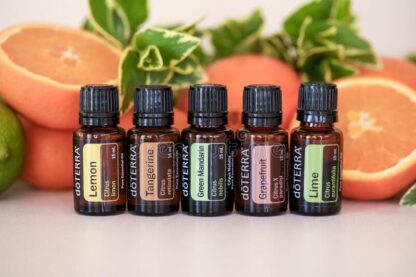 dōTERRA EUCALYPTUS Essential Oil 15mL - Image 11