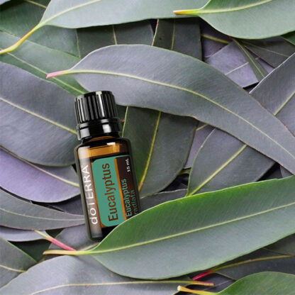 dōTERRA EUCALYPTUS Essential Oil 15mL - Image 4