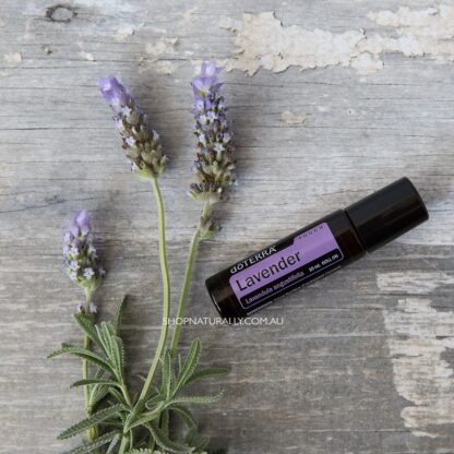 dōTERRA LAVENDER TOUCH 10mL Roll On