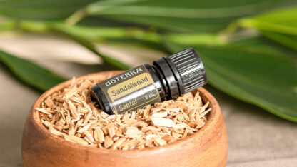 dōTERRA SANDALWOOD Pure Essential Oil