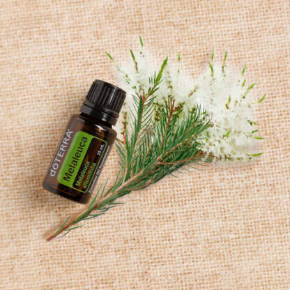 Dōterra TEA TREE TOUCH 10mL Roll On - Image 6