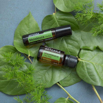 Dōterra TEA TREE TOUCH 10mL Roll On